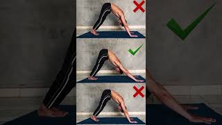 Beginner Calisthenics Workout at Home today💪🏼ytshorts plank trendingreels motivation aesthetic [upl. by Iormina]