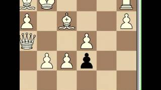 Lajos Portisch Vs Bobby Fischer 1966 [upl. by Elletse]