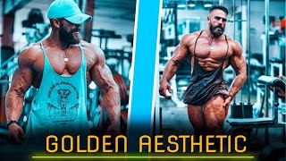 Artemus Dolgin GOLDEN AESTHETICS  fitness motivation  Артём Долгин мотивация  golden era [upl. by Hnao]