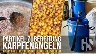 Karpfenfutter  Partikel selber zubereiten  Tigernüsse Mais Hanf uvm kochen und lagern l 2021 [upl. by Blatt240]