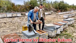 Arı Şerbet Verme Ve İlkbahar Bakımı  Arıcılık [upl. by Nitsyrk]