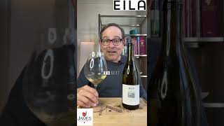 Eila Willamette Valley Chardonnay 22  95 Points willamettevalley chardonnay shorts wine [upl. by Nosmas]