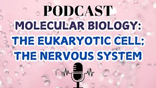 MOLECULAR BIOLOGYTHE EUKARYOTIC CELL THE NERVOUS SYSTEM [upl. by Greg69]