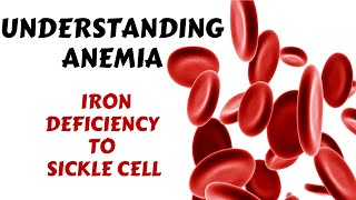 Types of Anaemia  Iron Folate Vitamin B12 deficiency Sickle Cell  Anemia Symptoms amp Treatment [upl. by Debbee]