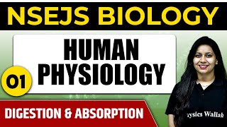 HUMAN PHYSIOLOGY 1 Digestion amp Absorption  Important Concept  NSEJS Biology [upl. by Wain]