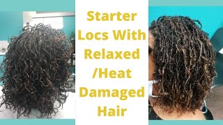 Starting Locs With Relaxed Heat Damaged Hair Heres What To Expect [upl. by Wilma6]