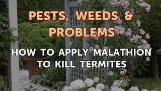 How to Apply Malathion to Kill Termites [upl. by Mchugh]