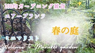 【ガーデニング】おしゃれな庭に見える100均の園芸用品見つけた♬エアプランツに蕾🌸鉢植えから地植えに♪ [upl. by Amathist]