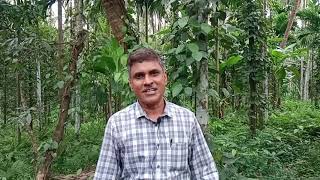 Feedback of Shri Uday Bhate progressive farmer Narve Goa on Market Intelligence Project [upl. by Nomrej418]