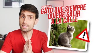 ¿Por qué mi gato siempre quiere salir a la calle  Gatos sin castrar [upl. by Aralomo]