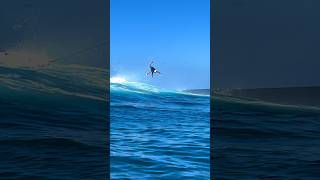 iPhone clips of Cortez on his What Grom Straight off the rack and on the plane surf travel kid [upl. by Acirre]