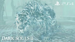 Dark Souls 2  Aava zwierzak króla  Aava the kings pet Boss Fight [upl. by Le573]