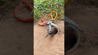 Snake traps in the forestsnake snakebites forest skills india bushcraft survival [upl. by Dranyar]