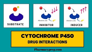 Cytochrome P450 Drug Interactions [upl. by Akemahc387]