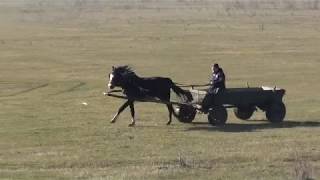 Garbovi Boboteaza caruta viteza 2018 [upl. by Anilys447]