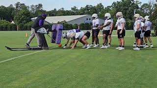 Furman Paladins Football Practice football furman furmanjoust furmanpaladins socon [upl. by Hacim]