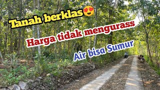 Dijual‼️Tanah Pekarangan murah isian Pohon jati❗️Luas 1454 m2‼️air bisa sumur [upl. by Baoj]