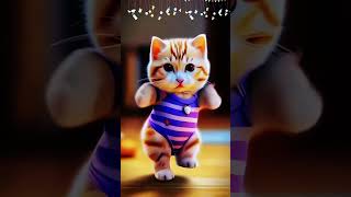 Super Cat Video funnymoments funny cutecat kitten [upl. by Aikaz]