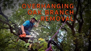 Overhanging Oak Limb Removal [upl. by Ettedanreb224]