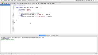 94 Comparing Strings equalsIgnoreCase compareToIgnoreCase  Learn Java [upl. by Ogirdor843]