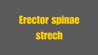 Erector Spinae Stretch [upl. by Jonathan4]