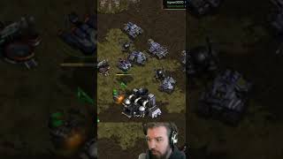 Steal that Flag  falconpaladin on Twitch and YouTube broodwar starcraft falconpaladin [upl. by Nomde472]