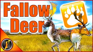 Fallow Deer in theHunter Classic  Lets Hunt the Newest Species [upl. by Hudis638]