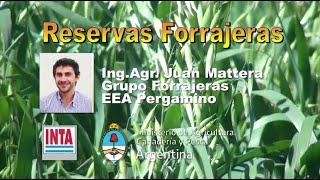 Reservas forrajeras [upl. by Auguste29]