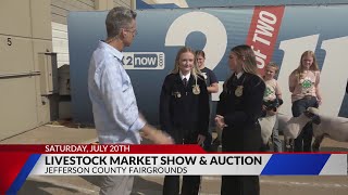 Livestock Market Show amp Auction [upl. by Eadahc]