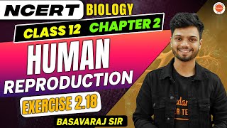 CBSE Class 12 Biology Human Reproduction – 4 Fertilization and Implantation [upl. by Rexana511]