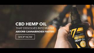 Elixinol Products  Information About CBD Hemp Products  The CBD Corner Store [upl. by Spanjian]