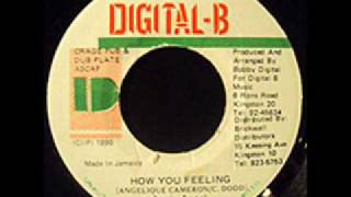 Angie Angel  How You Feeling Digital Reggae [upl. by Nnahoj]