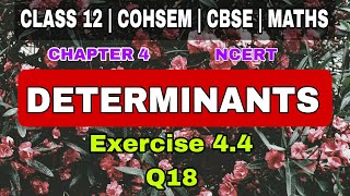 Exercise 44  Q18  Determinants  chapter 4  class 12  cohsem  ncert  maths [upl. by Witherspoon55]