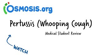 Pertussis Whooping Cough  Osmosis Study Video [upl. by Dew127]