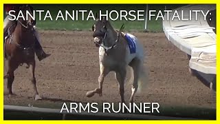 Horse fatality at Santa Anita  Arms Runner March 31 2019 [upl. by Jaquith623]