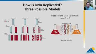 BIO201 Ch143  Basics of DNA Replication [upl. by Iuqcaj]