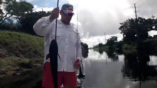 Snakehead Roundup Tournament South Florida [upl. by Ayala]