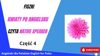 Fiszki kwiaty po angielsku Część 4 film interaktywny Mówi Native Speaker [upl. by Wylen89]