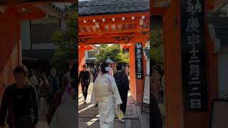 High concentration of kimonos at a Kyoto shrine kimono travel japan [upl. by Hufnagel871]