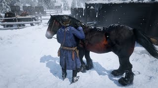 6 Breton horse exist in RDR2 [upl. by Coreen772]