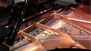 John Cage  Sonata V from Sonatas and Interludes  Inara Ferreira prepared piano [upl. by Ivatts690]