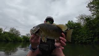 Fishing for Bass in a Trout Creek [upl. by Furnary]