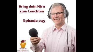 Podcast quotBring dein Hirn zum Leuchtenquot Folge 045  Die HattieStudie [upl. by Isawk]