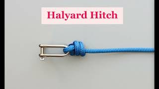 Learn the Halyard Hitch commonly used on boats for attaching the halyard to the top of a sail [upl. by Zahara]