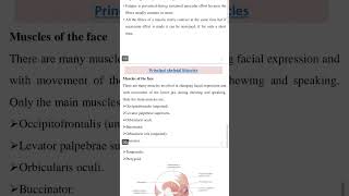 D pharmacy 1st year chapter MUSCULAR SYSTEM HUMAN ANATOMY AND PHYSIOLOGY COMPLETE CHAPTER NOTES [upl. by Cortie507]