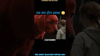 the big red dog full movie Explain in fifth part। reddog movie shorts [upl. by Rubinstein]