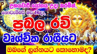 Strong Sun to Scorpio  2024 Ravi Maruwa  අති ප්‍රබල රවි මාරුව  Sun Transit In November  Ape [upl. by Nnylireg]