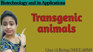 Transgenic animals  Ch12 Biotechnology and its applications  Class 12 BiologyNEETAIIMS [upl. by Eads329]