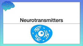 How do Neurotransmitters Work Chemical Activity in the Brain [upl. by Releyks822]