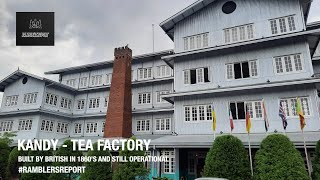 Kandi  Tea Factory [upl. by Nylirrehs]